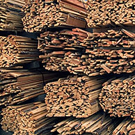 Trees are processed in sawmill into planks, Belgium